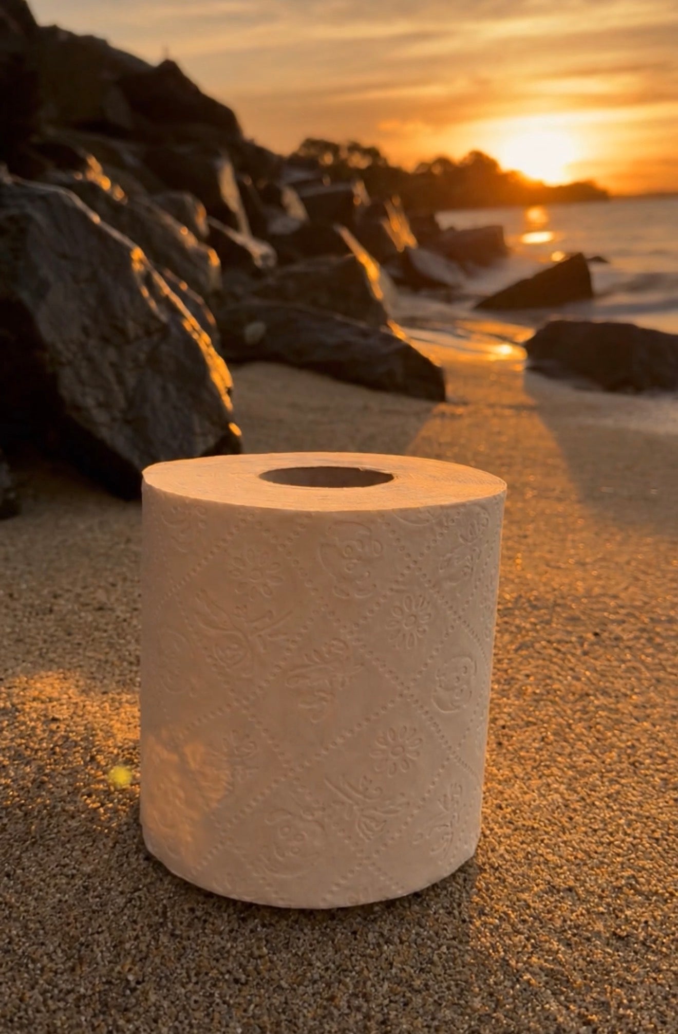 24 Pack Premium 100% Bamboo Pulp Toilet Paper Double Length 370 Sheets